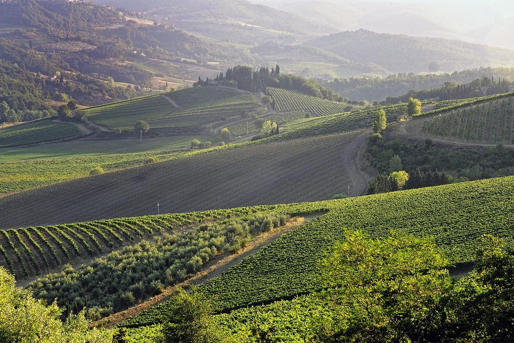 Fattoria Poggerino Bed & Breakfast Radda in Chianti Rom bilde