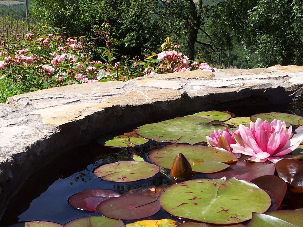 Fattoria Poggerino Bed & Breakfast Radda in Chianti Rom bilde