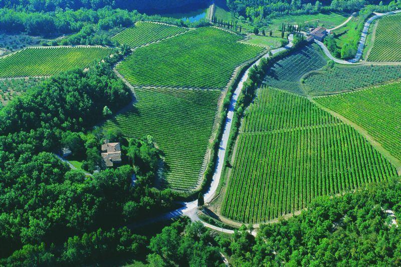 Fattoria Poggerino Bed & Breakfast Radda in Chianti Rom bilde