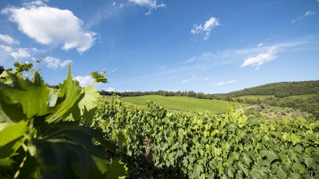 Fattoria Poggerino Bed & Breakfast Radda in Chianti Eksteriør bilde