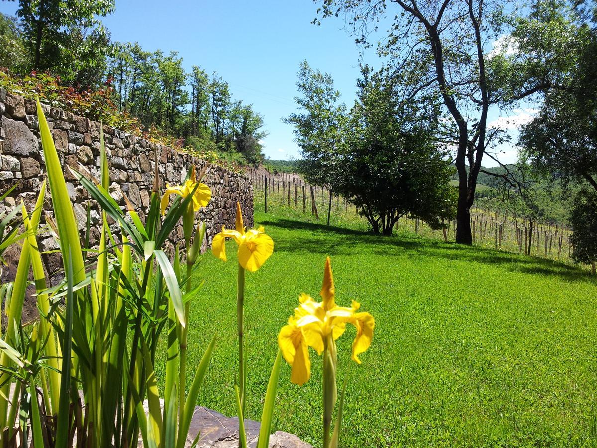 Fattoria Poggerino Bed & Breakfast Radda in Chianti Eksteriør bilde